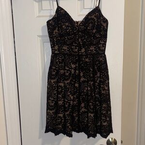 Aqua Black and Tan Lace Aline dress
